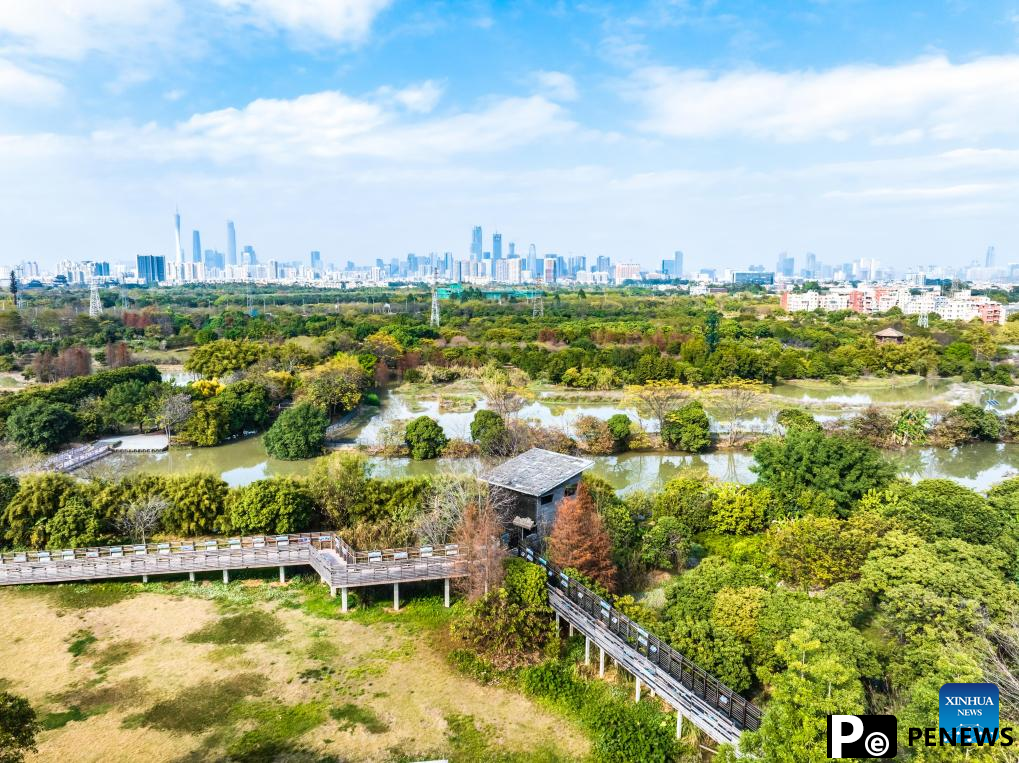 New insect species found in south China urban wetland