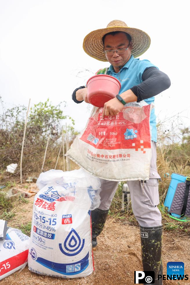 alkali tolerant rice in S China