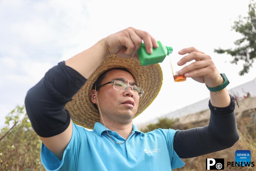 alkali tolerant rice in S China