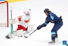 Asian Winter Games: men's ice hockey play