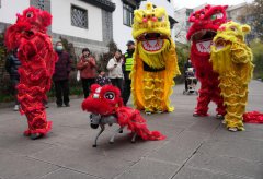 AI technology widely adopted during Spring Festival events