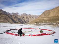 borne electromagnetic detection system deployed