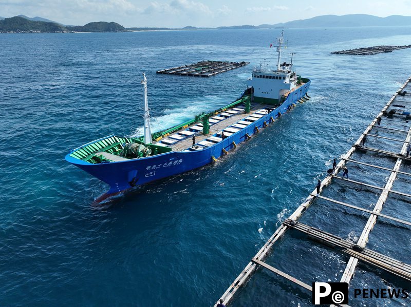 Hainan Free Trade Port releases six new institutional innovation cases