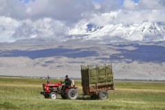 Moonfaring grass seeds to sprout on Earth