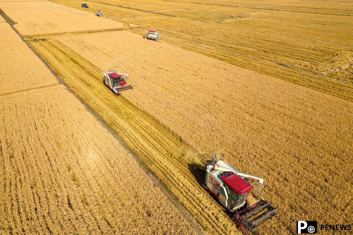New quality productive forces in agriculture highlighted