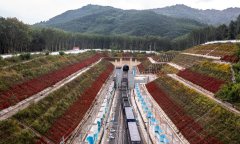 Laos Railway Mohan port’s crossings surge by 49% during 2025 'chunyun'