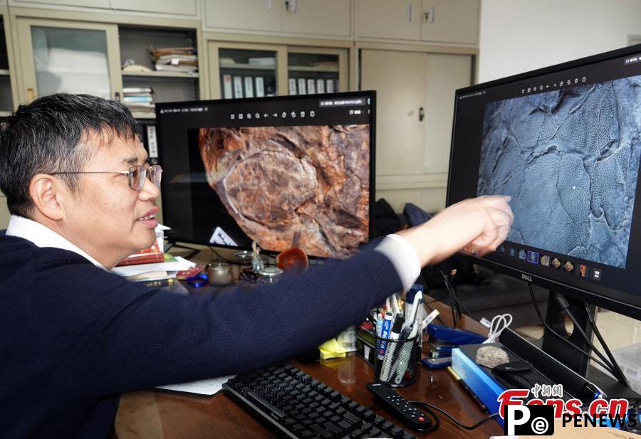 New paleofish species discovered in Yunnan
