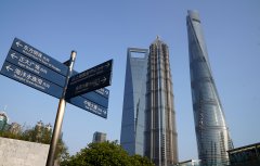 US curbs on investment strongly opposed