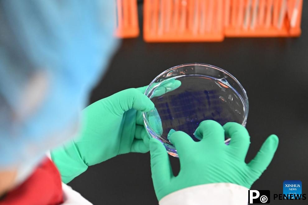 Tianjin Zhongguancun Tech Town registers market players of various types