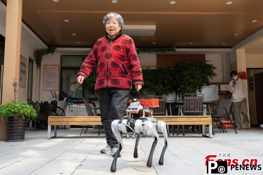 Robot dogs offer help at elderly care center in Hangzhou