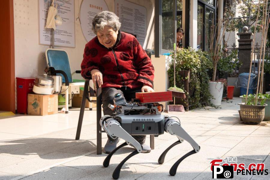 Robot dogs offer help at elderly care center in Hangzhou