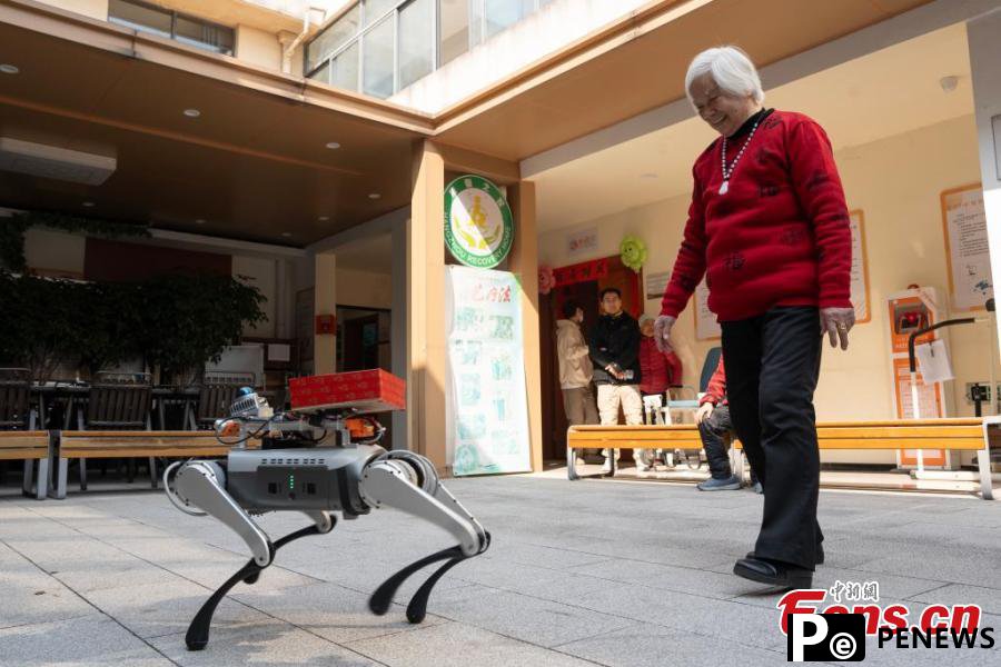 Robot dogs offer help at elderly care center in Hangzhou