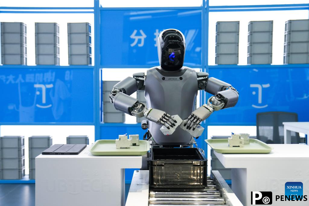 A glimpse of Beijng World of Robots