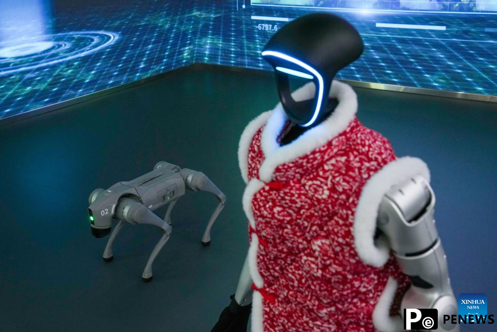 A glimpse of Beijng World of Robots