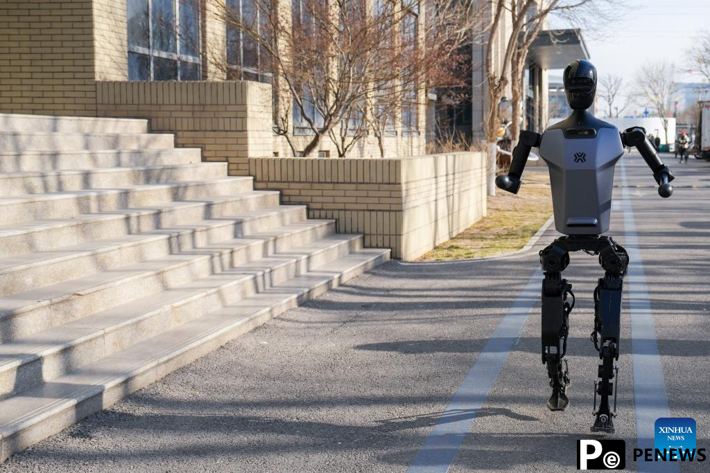 A glimpse of Beijng World of Robots