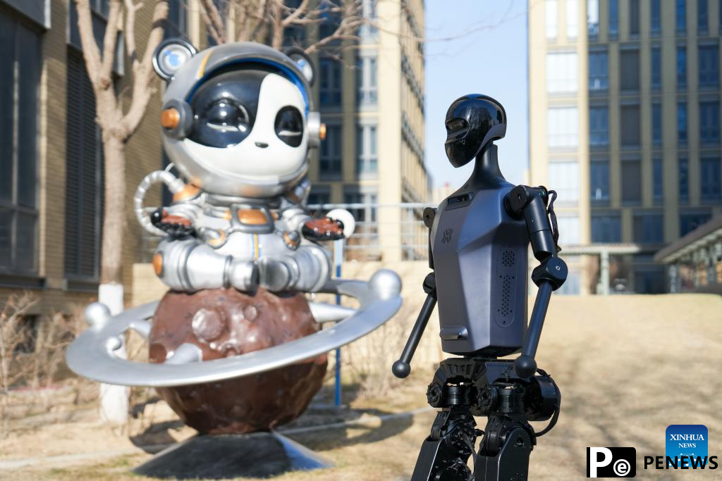 A glimpse of Beijng World of Robots