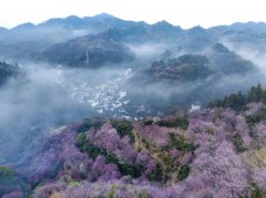 Silver economy boosts cultural, elderly tourism development