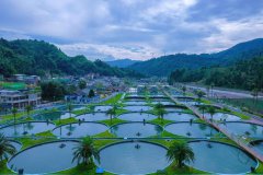 China's new specialties: weaving Chinese flavors into world's tables