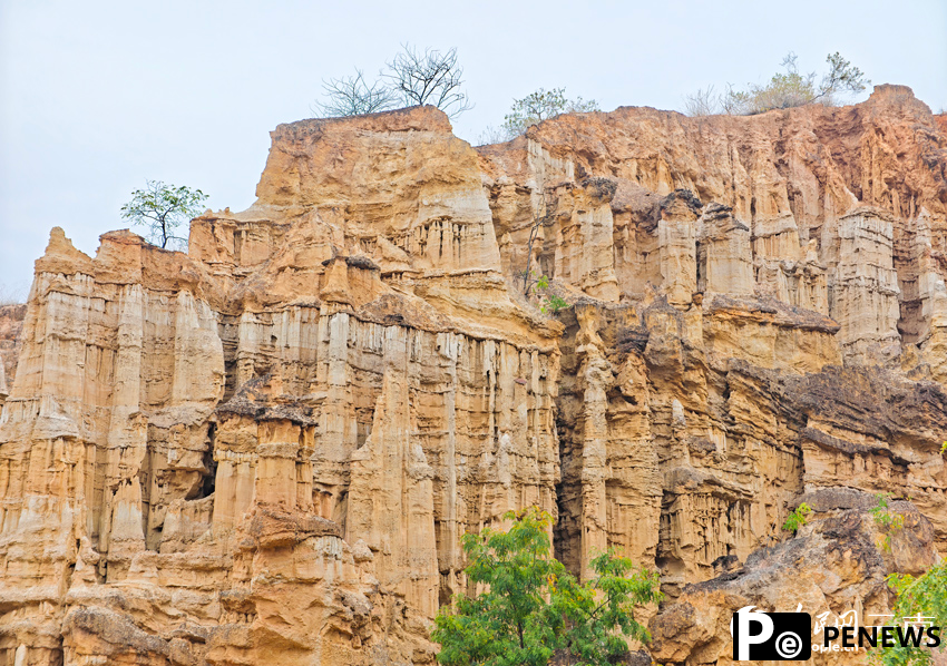 In pics: Distinctive view of Wumao Earth Forest in SW China