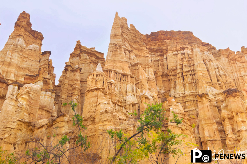 In pics: Distinctive view of Wumao Earth Forest in SW China
