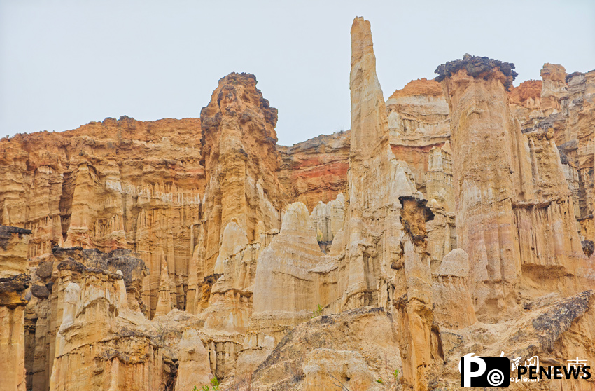 In pics: Distinctive view of Wumao Earth Forest in SW China