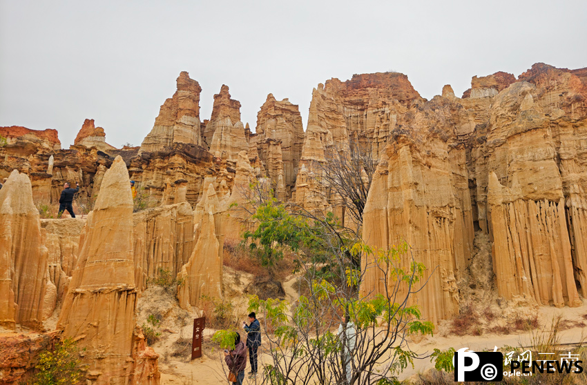 In pics: Distinctive view of Wumao Earth Forest in SW China