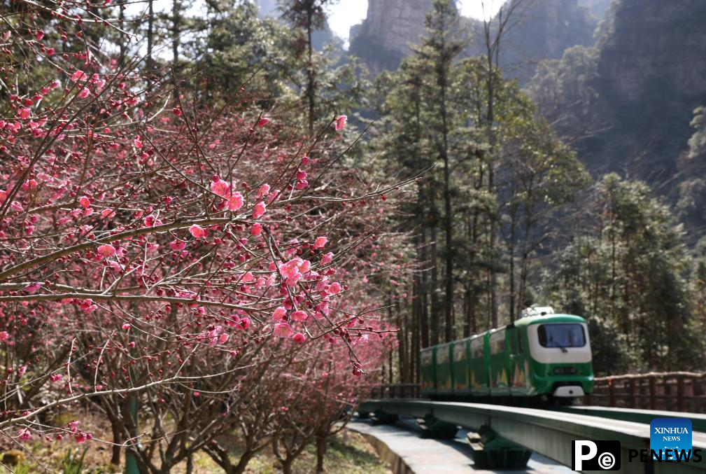Tourists visit Zhangjiajie National Forest Park in China