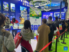 Consumption upgrading for fur babies fuels China's pet economy