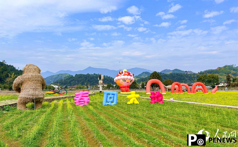 In pics: Beautiful scenery of rapeseed flowers and traditional earthen buildings draws crowds to Hua