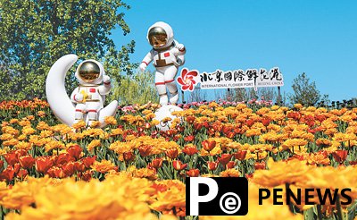 A day in the flower industry: From fields to customers