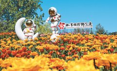 A day in the flower industry: From fields to customers