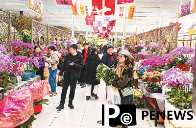 A day in the flower industry: From fields to customers