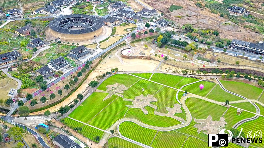 In pics: Beautiful scenery of rapeseed flowers and traditional earthen buildings draws crowds to Hua