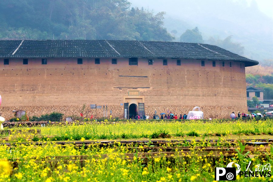 In pics: Beautiful scenery of rapeseed flowers and traditional earthen buildings draws crowds to Hua