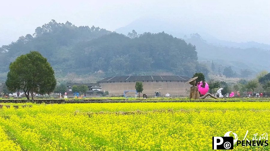 In pics: Beautiful scenery of rapeseed flowers and traditional earthen buildings draws crowds to Hua