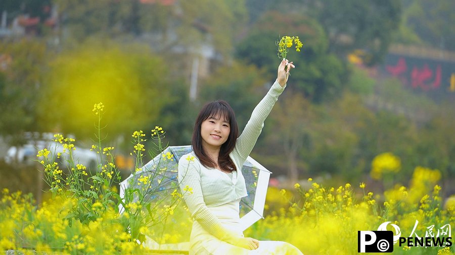 In pics: Beautiful scenery of rapeseed flowers and traditional earthen buildings draws crowds to Hua