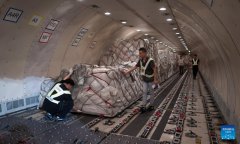 Air cargo carriers add 19 routes to Europe in Jan