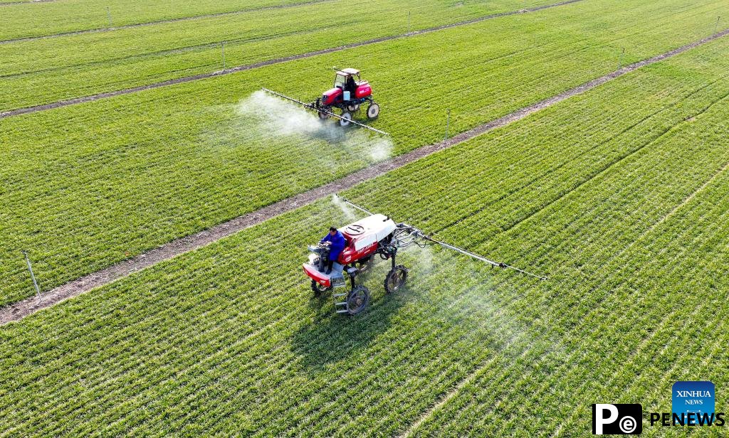 New quality productive forces lower costs in China’s vast agricultural sector: expert