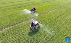 New quality productive forces lower costs in China’s vast agricultural sector: expert