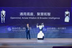 Wuhu in E China's Anhui cultivates thriving robot industry