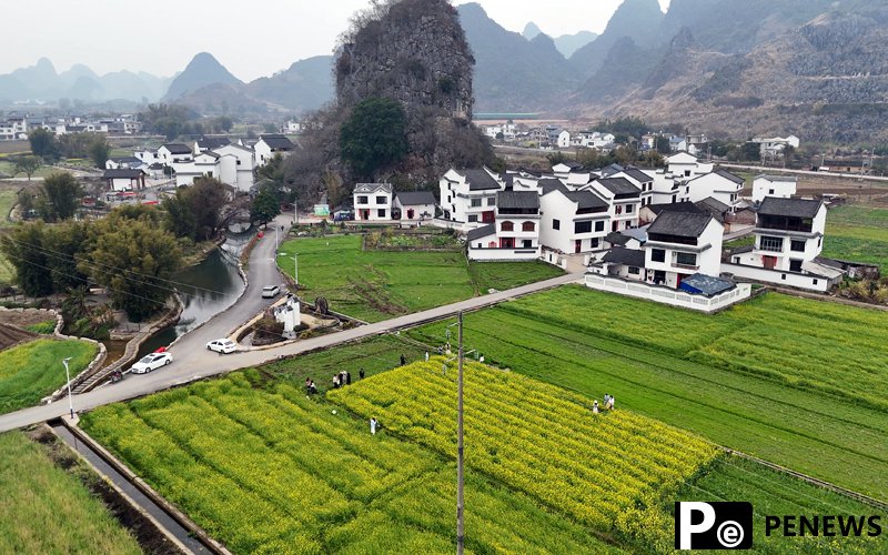 In pics: Blooming rapeseed flowers in S China