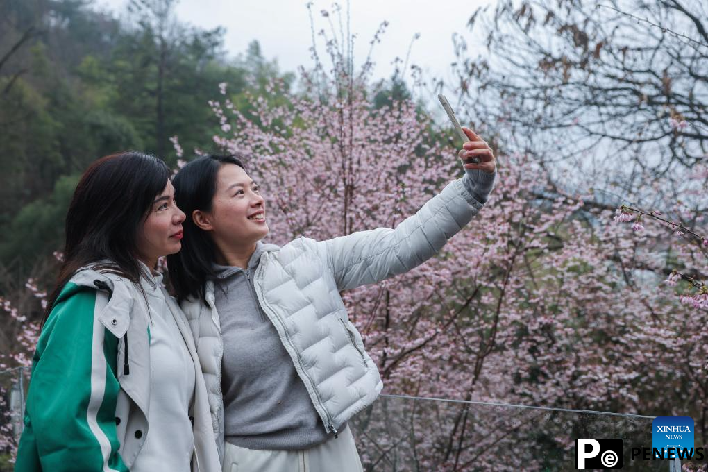In pics: cherry blossoms in Datang Village of Jiande City, China