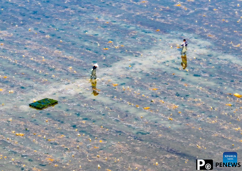 Crayfish industry boosts rural revitalization in Xuyi County, E China
