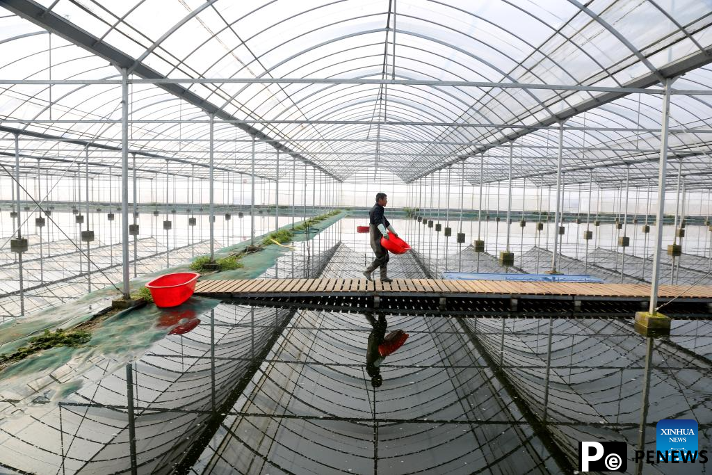 Crayfish industry boosts rural revitalization in Xuyi County, E China