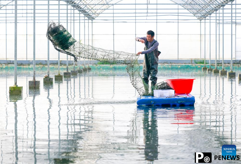 Crayfish industry boosts rural revitalization in Xuyi County, E China