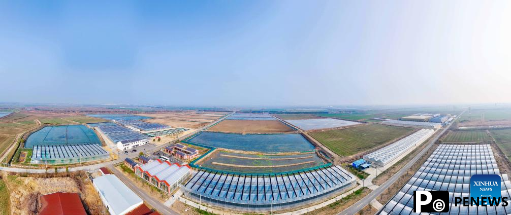 Crayfish industry boosts rural revitalization in Xuyi County, E China