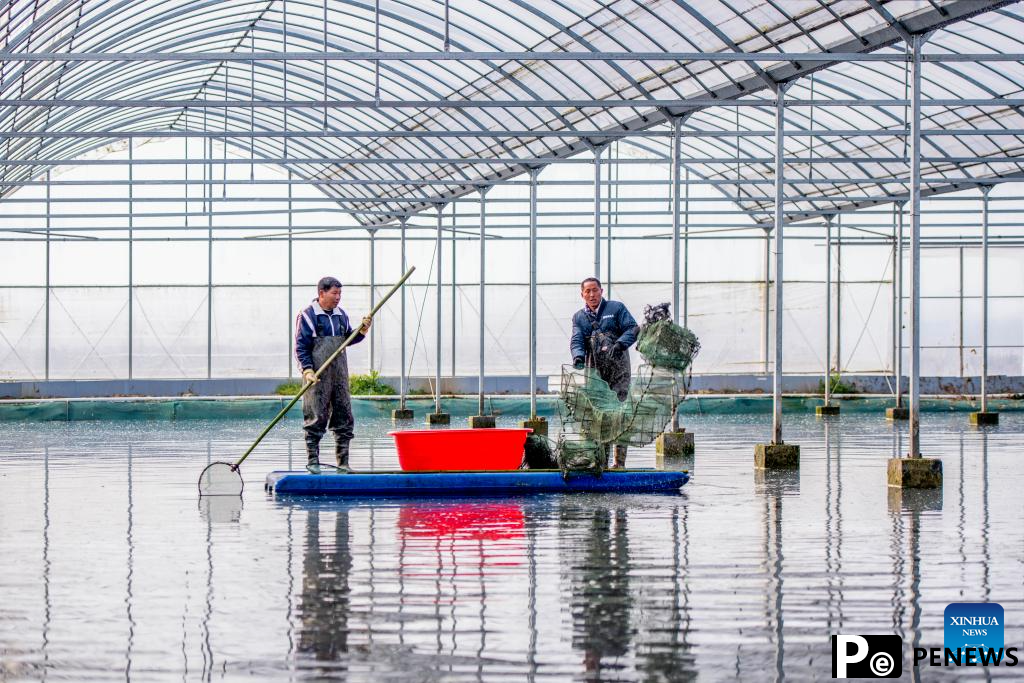 Crayfish industry boosts rural revitalization in Xuyi County, E China