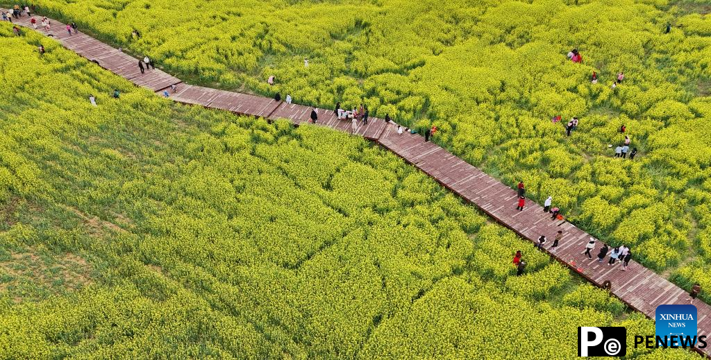 People enjoy spring across China