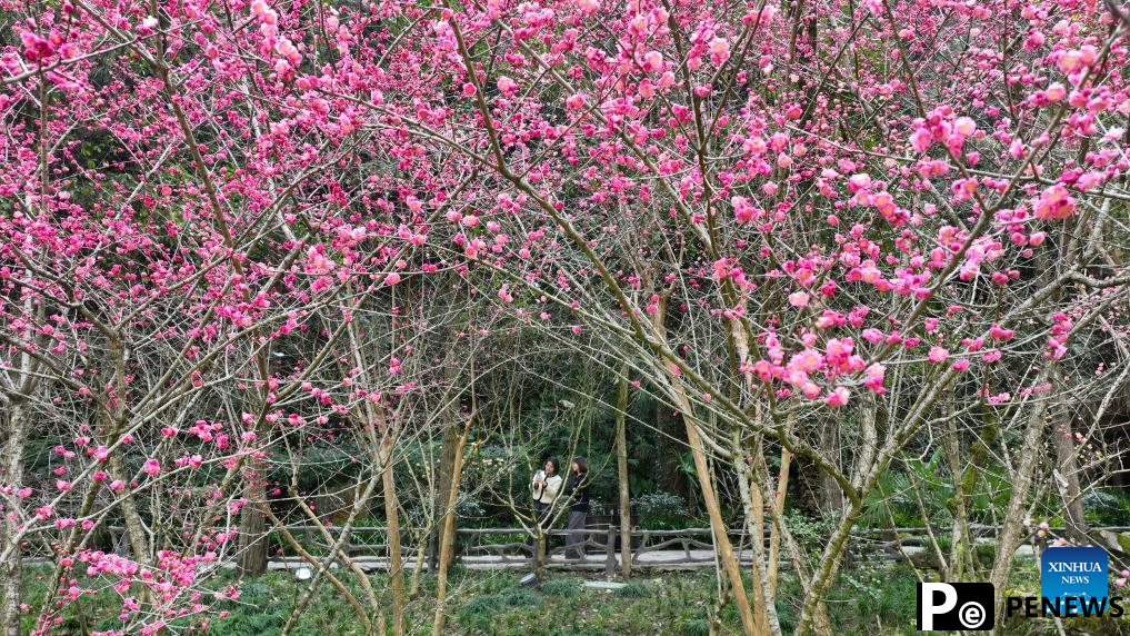 People enjoy spring across China