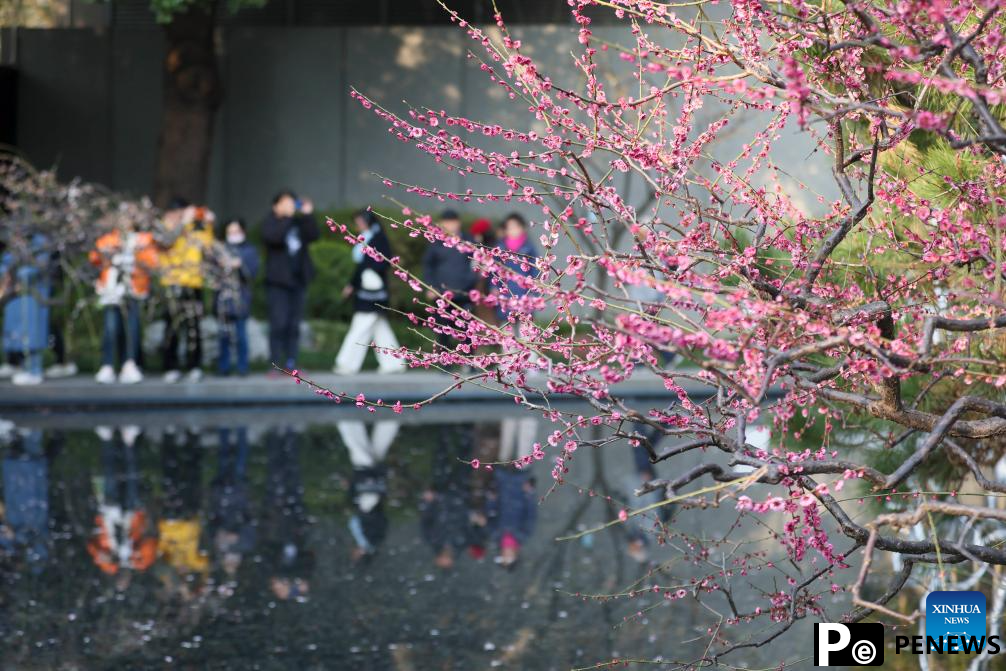 People enjoy spring across China
